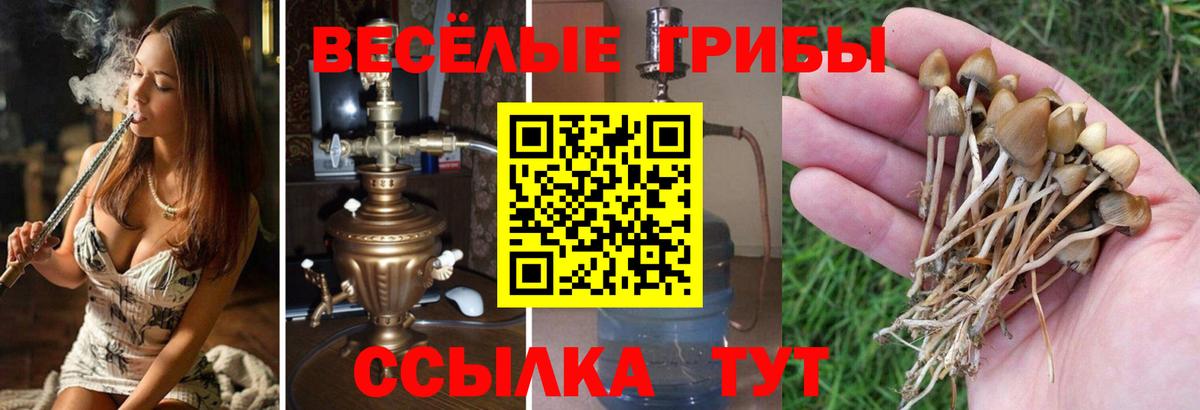 Галлюциногенные грибы прущие грибы  Галлюциногенные грибы мицелий  Старый Оскол  Вход с VPN 