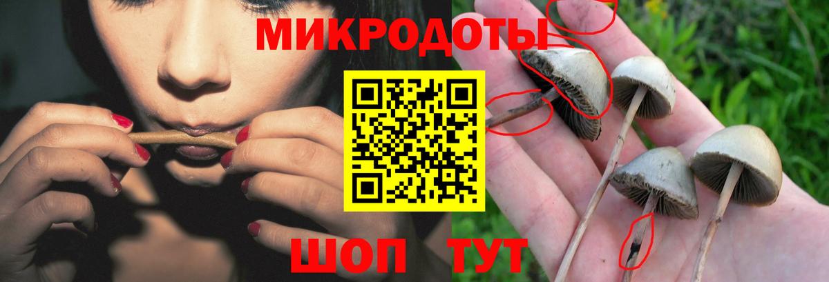 Псилоцибиновые грибы мухоморы Старый Оскол
